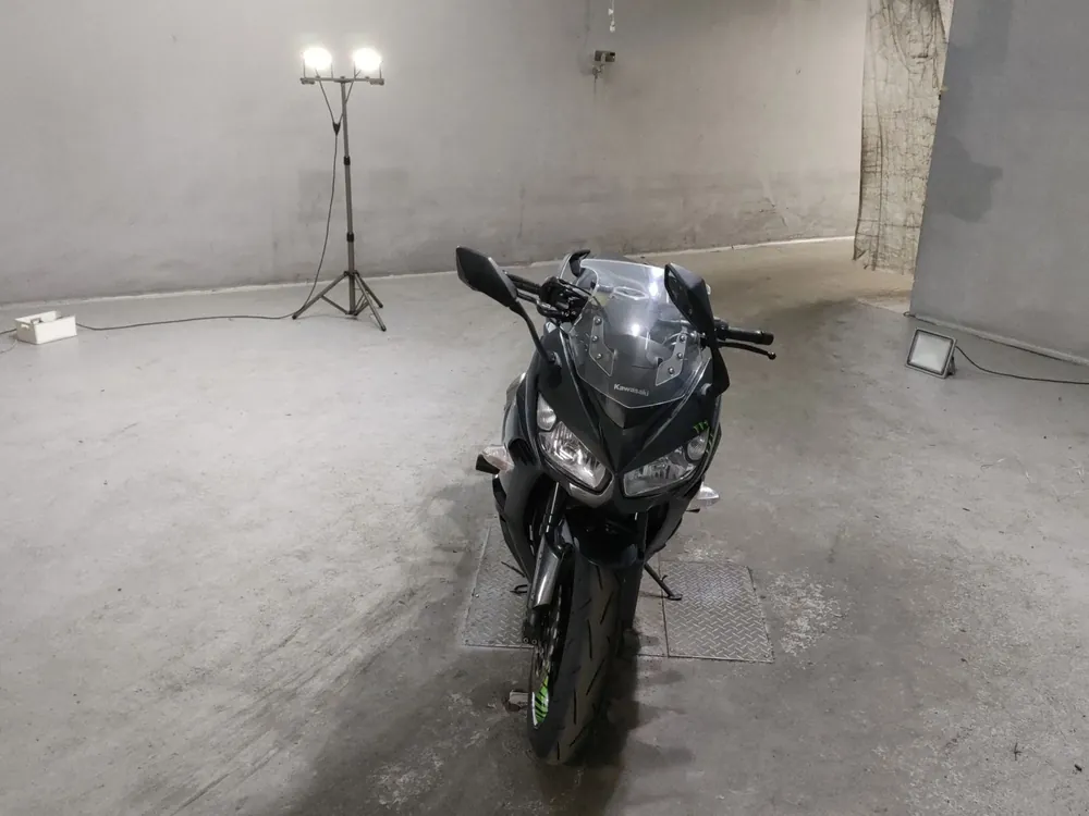 Kawasaki Ninja 1000 2016, серый, фото 3