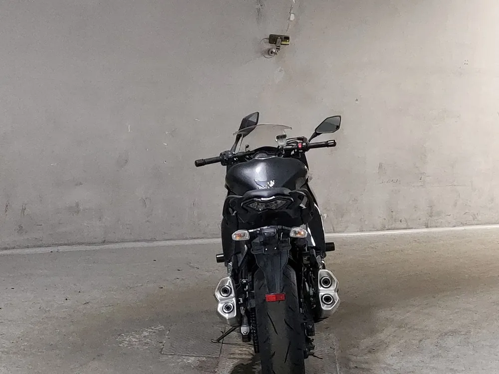 Kawasaki Ninja 1000 2016, серый, фото 4