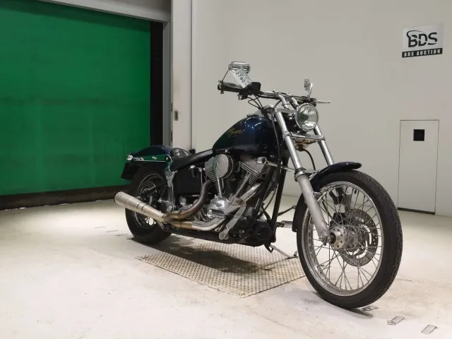 Harley-Davidson FXST1450 2002, синий, фото 3