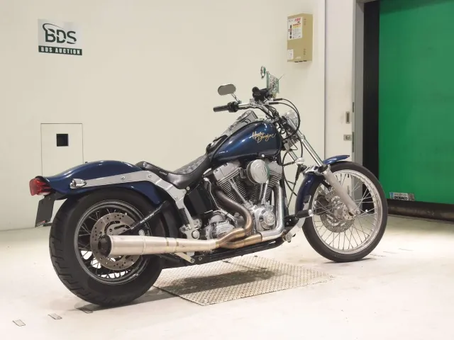 Harley-Davidson FXST1450 2002, синий, фото 5