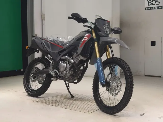 Honda CRF250 Rally, black | gray, фото 3