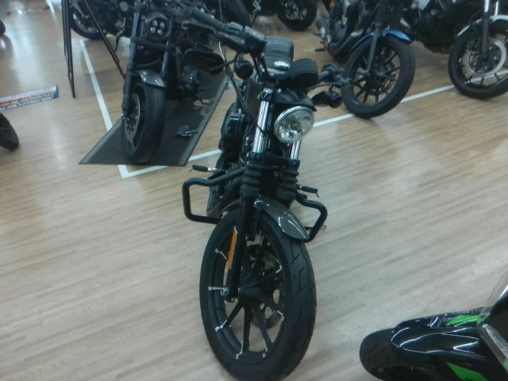Harley-Davidson XL883N 2019, gun m, фото 4