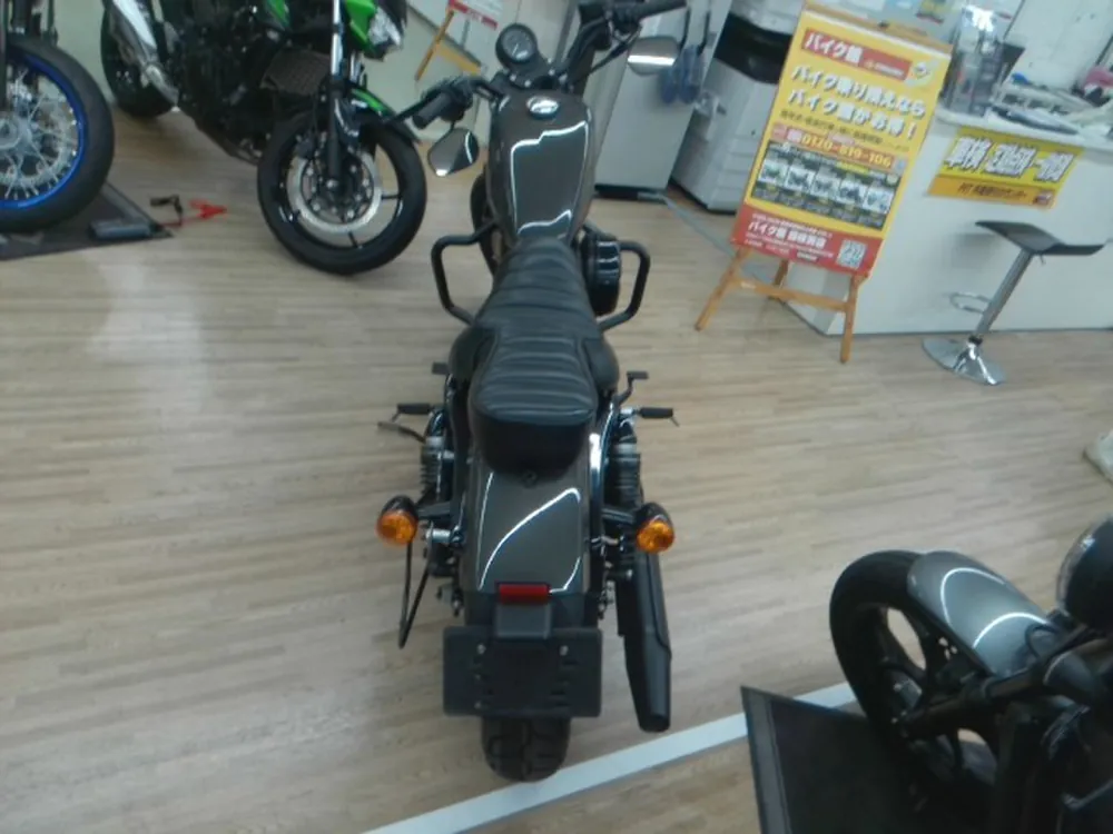 Harley-Davidson XL883N 2019, gun m, фото 5