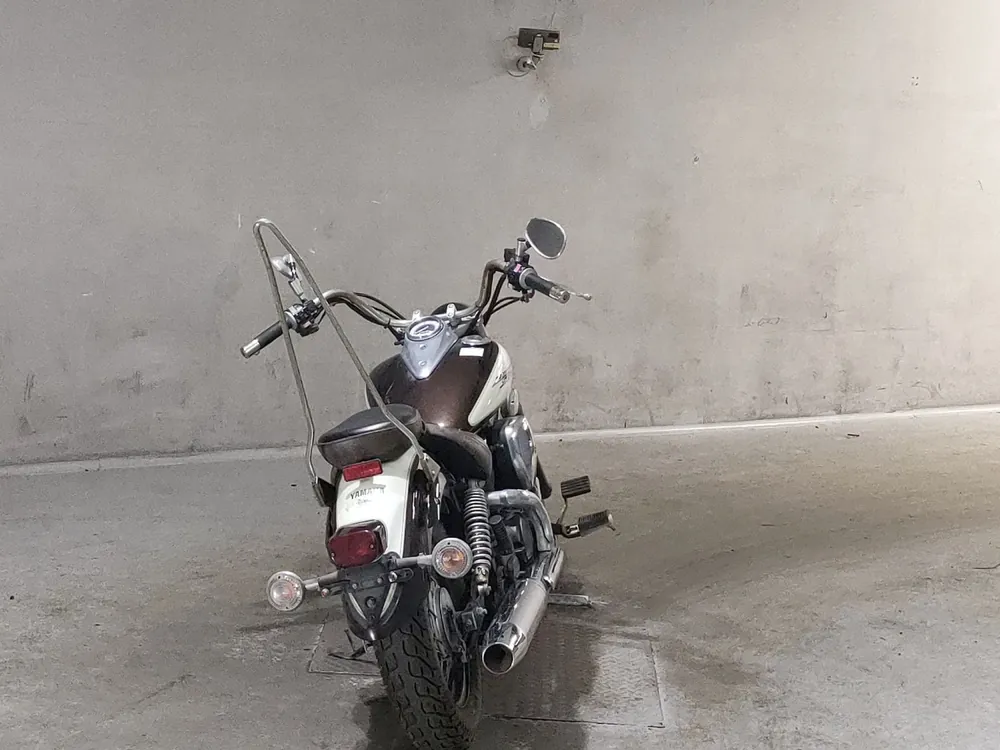 Yamaha Dragstar 250, white/light brown, фото 4
