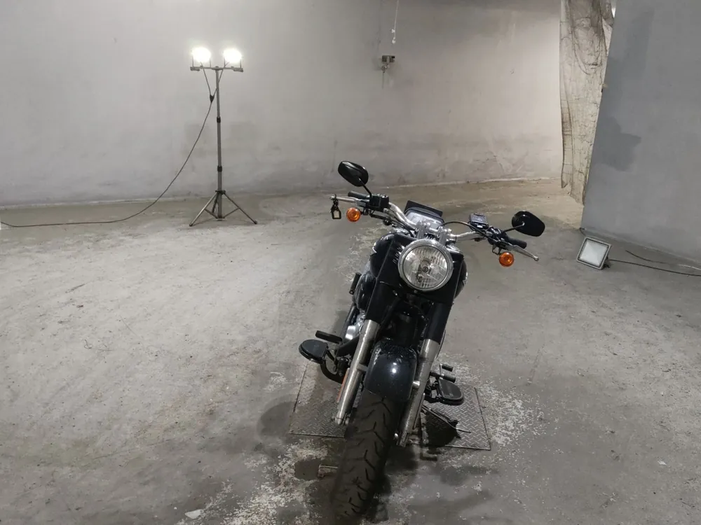 Harley-Davidson FLSTFB1580 2010, чёрный, фото 3