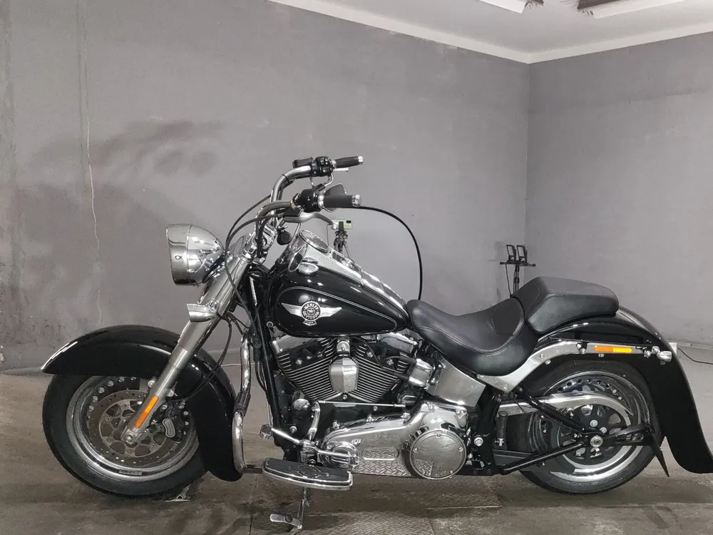 Harley-Davidson FLSTF1580 2015, чёрный, фото 2