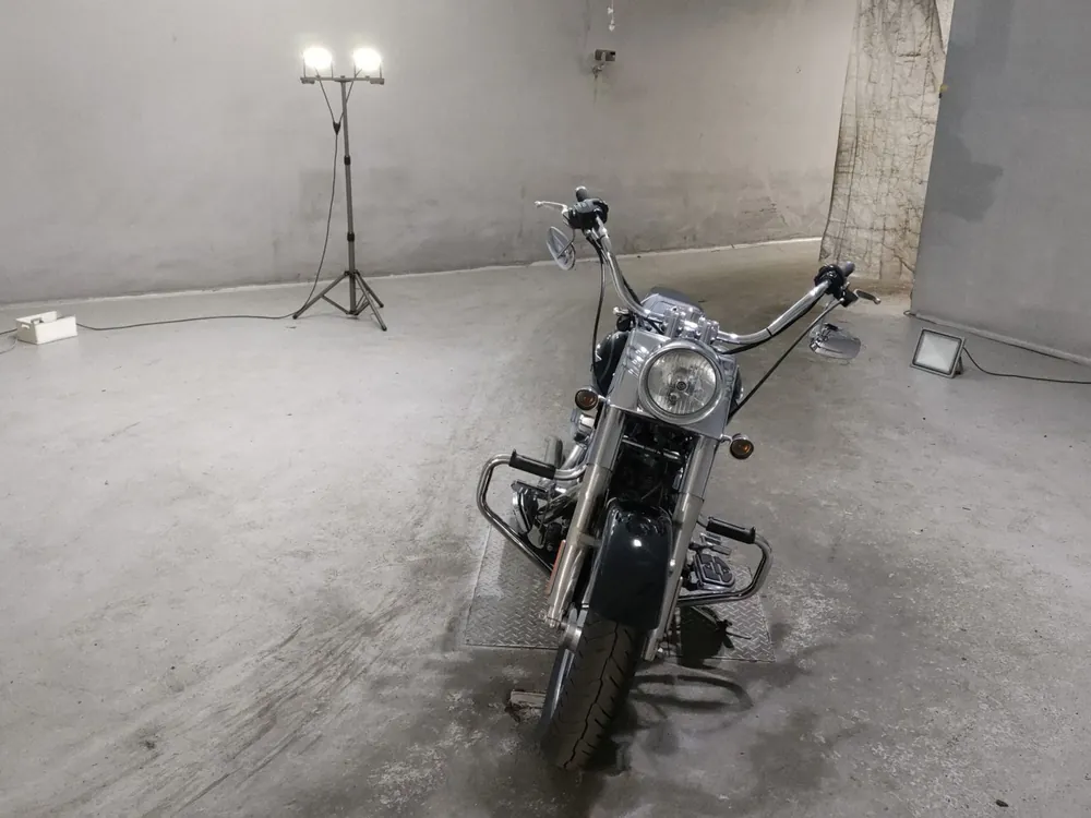 Harley-Davidson FLSTF1580 2015, чёрный, фото 3