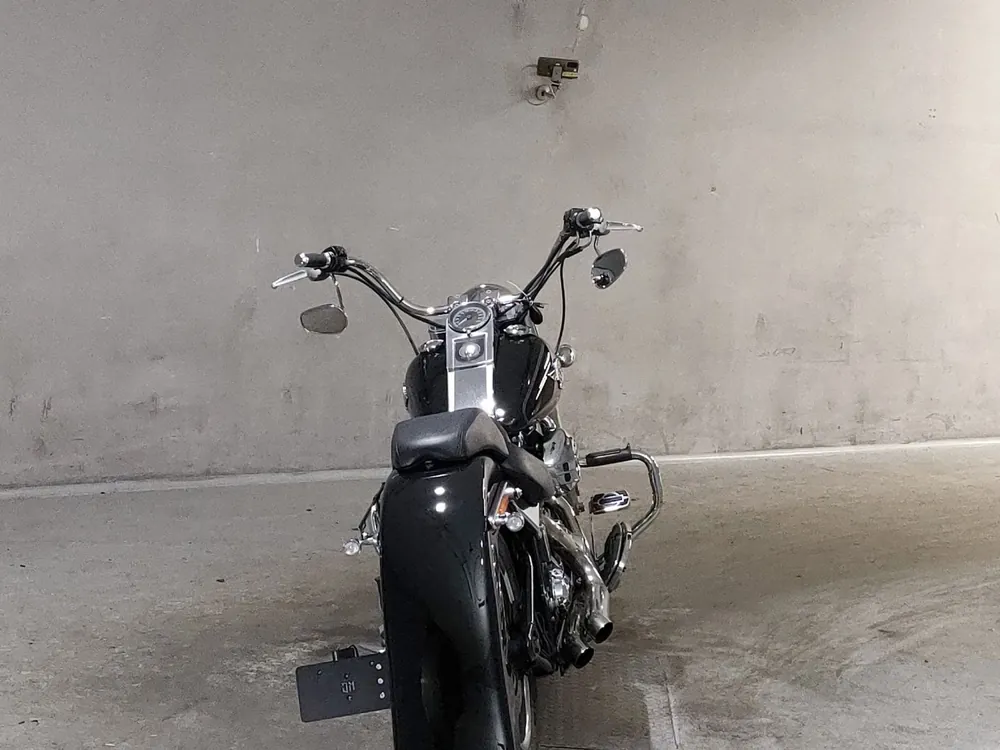 Harley-Davidson FLSTF1580 2015, чёрный, фото 4