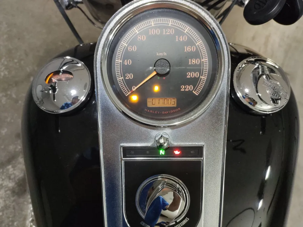 Harley-Davidson FLSTF1580 2015, чёрный, фото 5