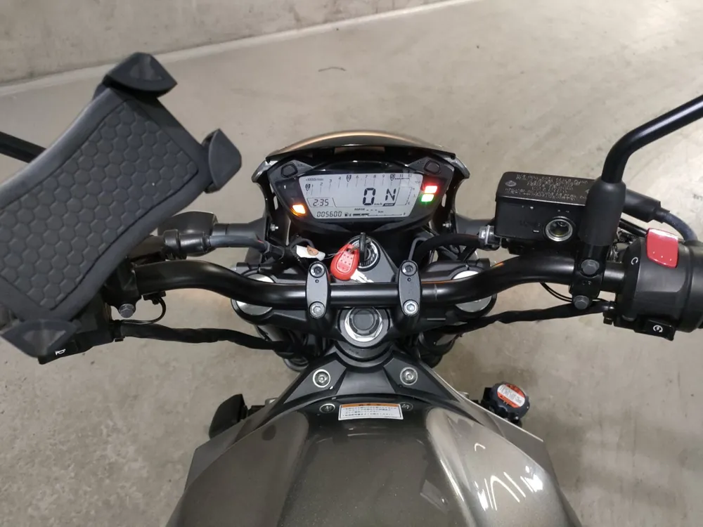 Suzuki SV650 2019, серый, фото 5