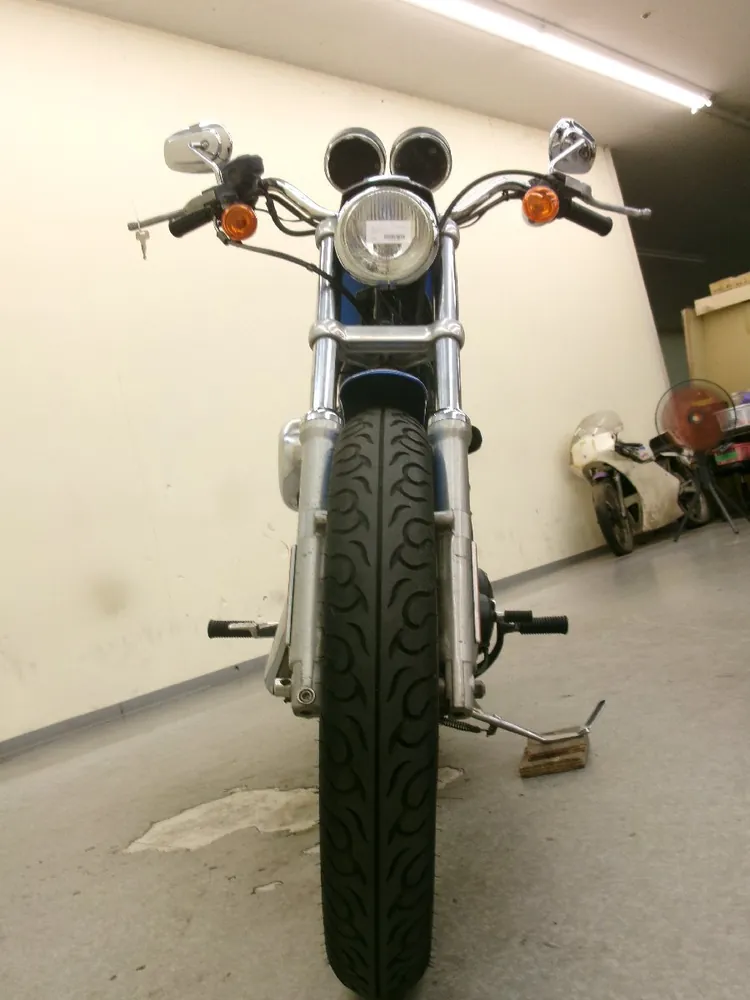 Harley-Davidson Sportster 1200 Roadster 2004, фото 8