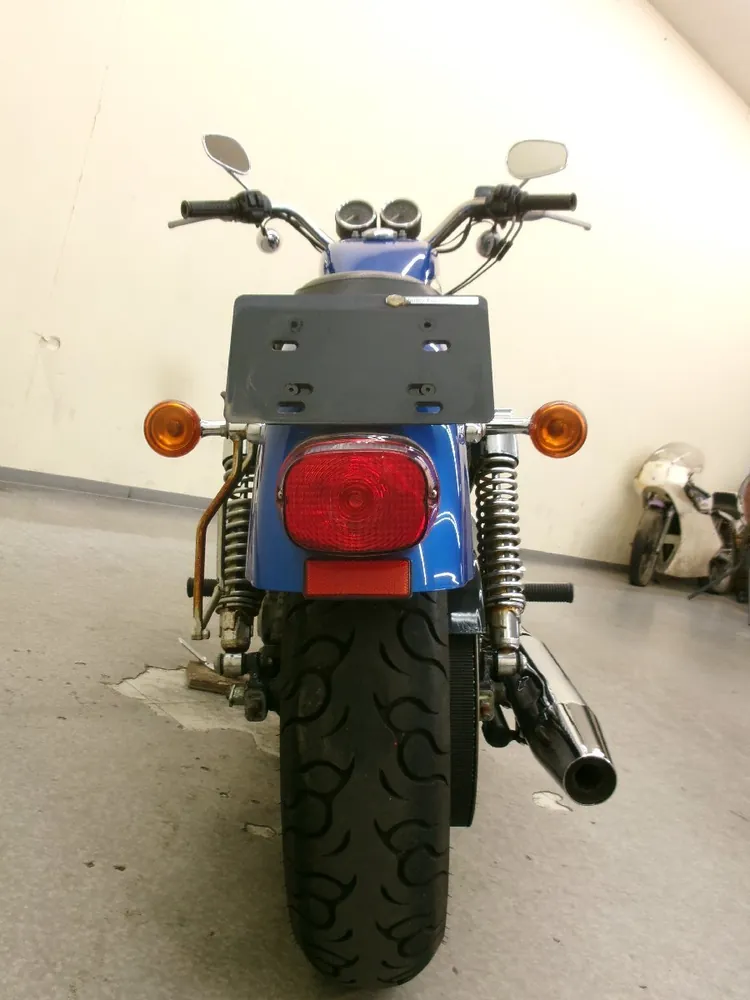 Harley-Davidson Sportster 1200 Roadster 2004, фото 9