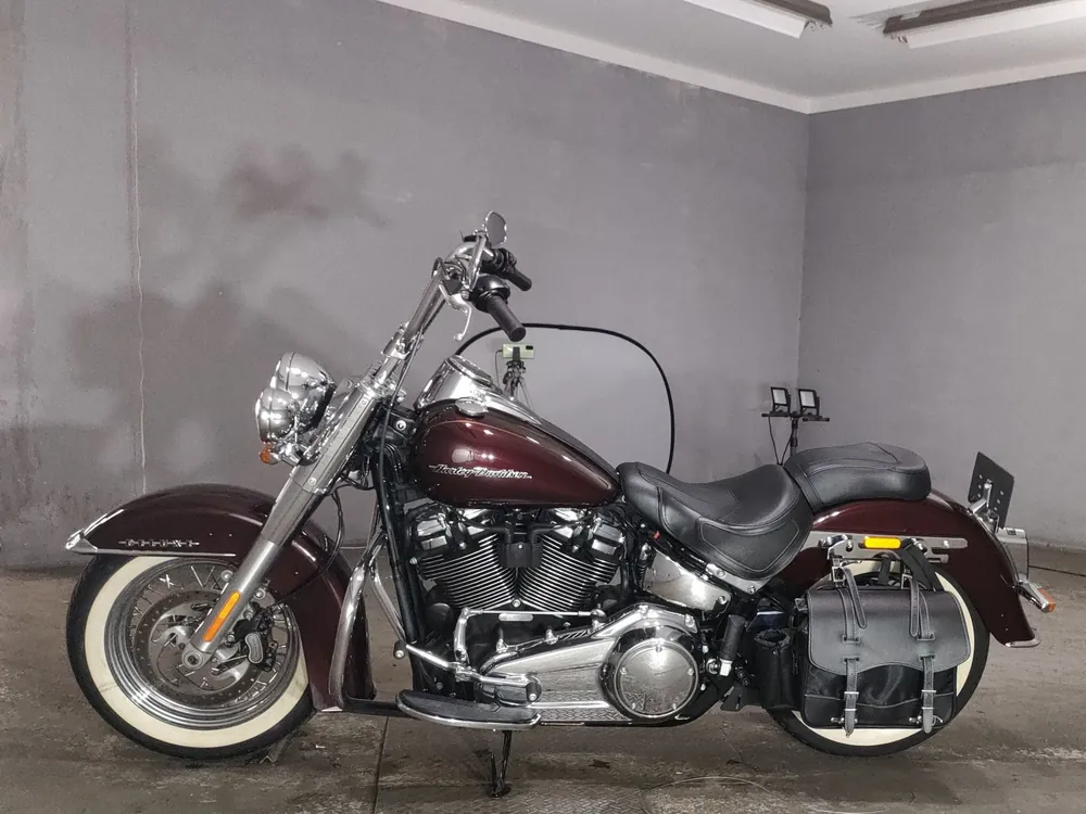 Harley-Davidson FLDE1750 2019, light brown, фото 2