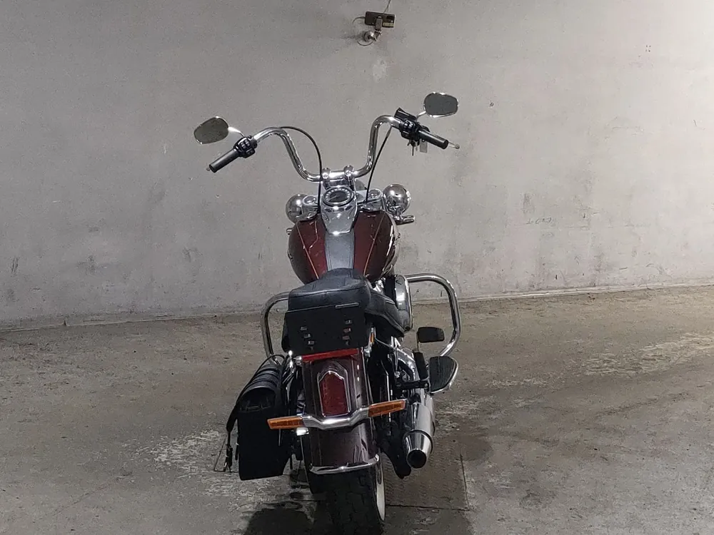 Harley-Davidson FLDE1750 2019, light brown, фото 4