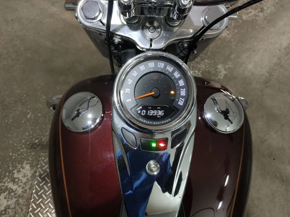 Harley-Davidson FLDE1750 2019, light brown, фото 5