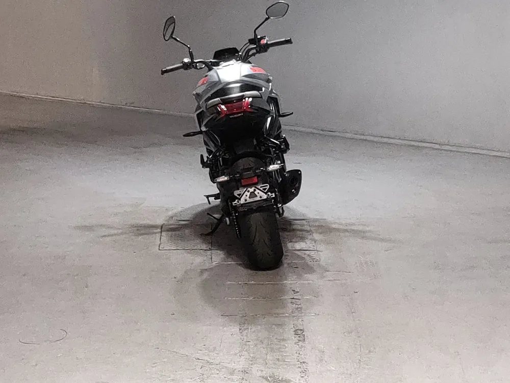 Suzuki GSX-S1000SR 2019, серебристый, фото 4