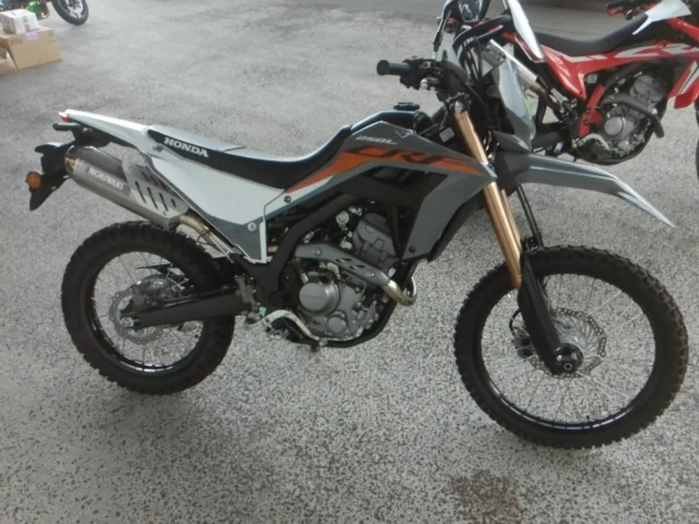Honda CRF250 Rally, white/gray, фото 5