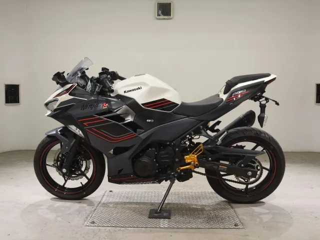 Kawasaki Z400 2024, white | red | black, фото 2