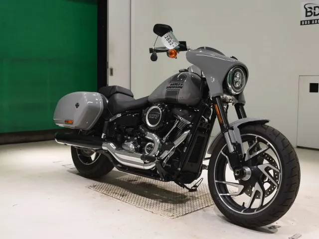 Harley-Davidson FLSB1750 2025, серый, фото 3