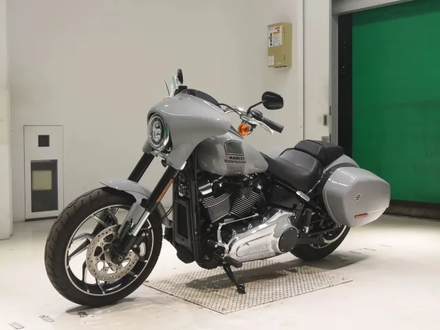 Harley-Davidson FLSB1750 2025, серый, фото 4
