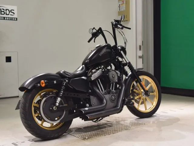 Harley-Davidson XL1200N 2011, matt black, фото 5