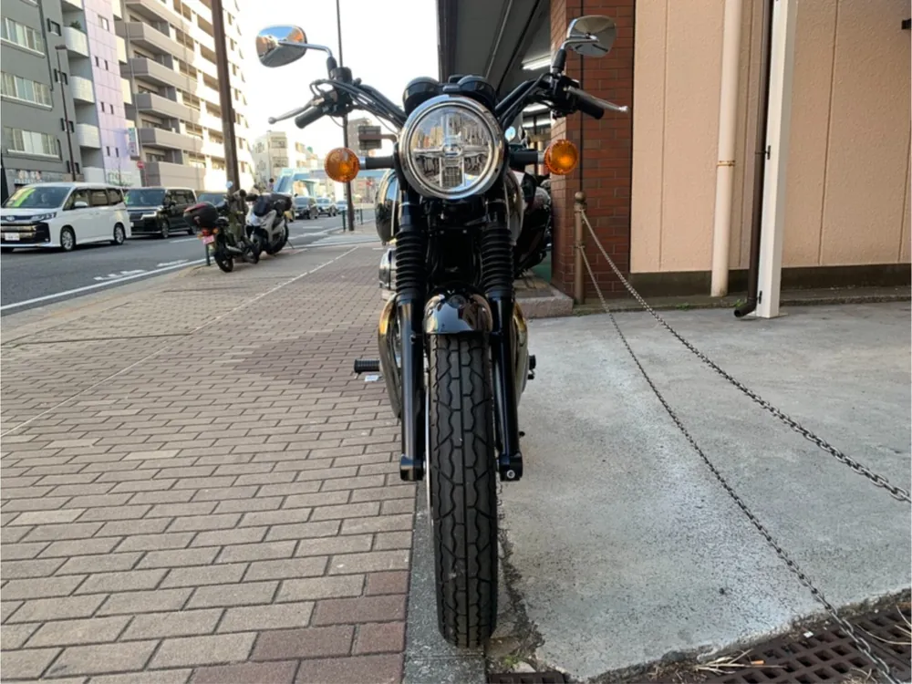 Kawasaki W800-2 2021, чёрный, фото 4
