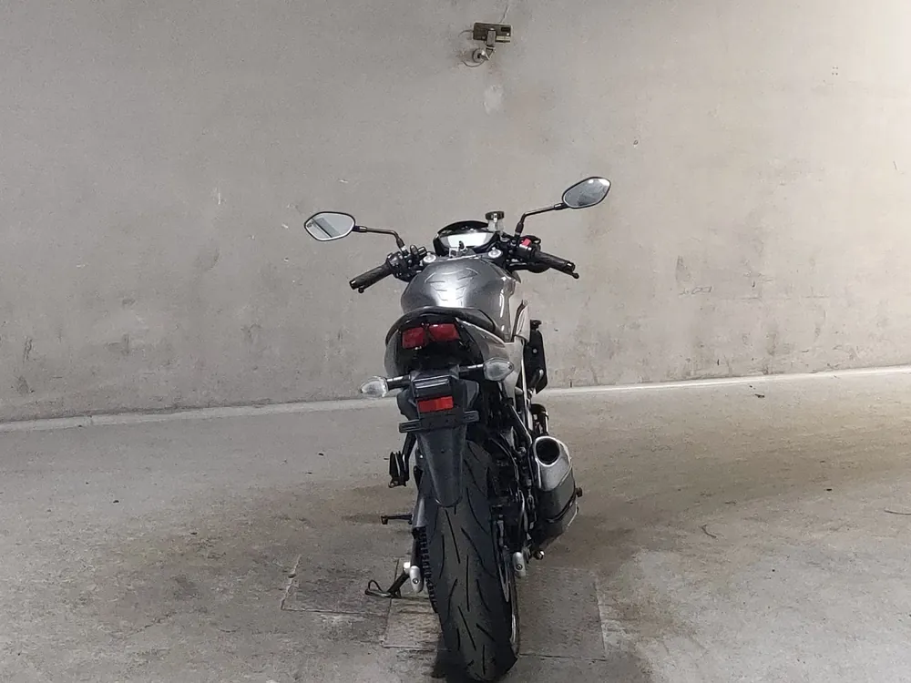 Suzuki SV650 2019, серый, фото 4