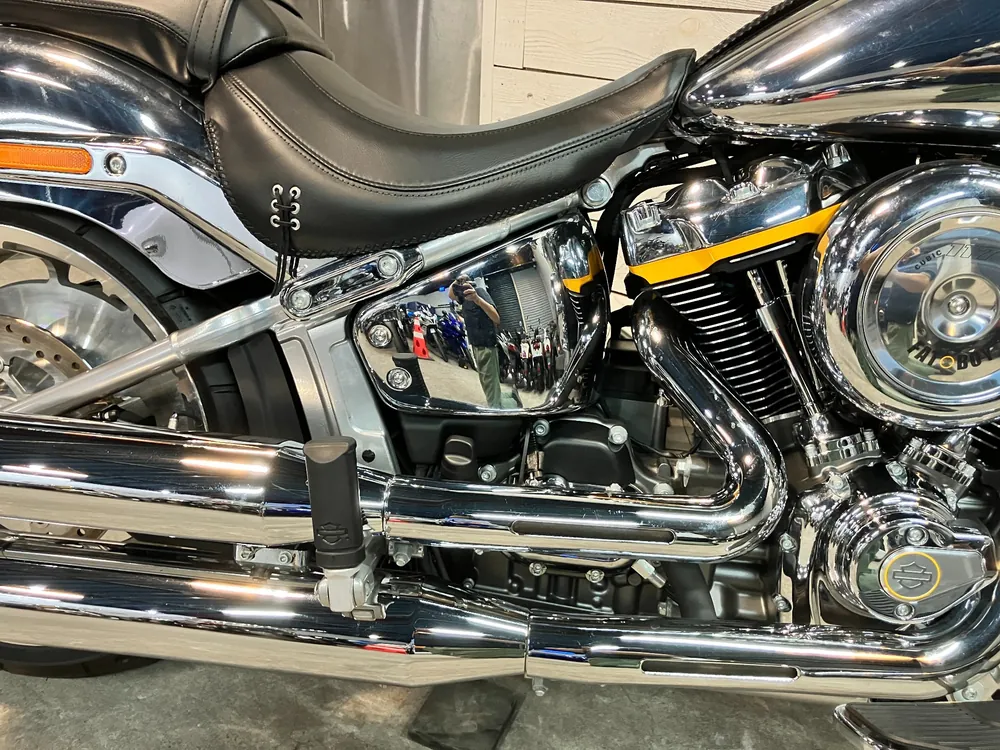 Harley-Davidson FLSTFI 2025, plating, фото 12