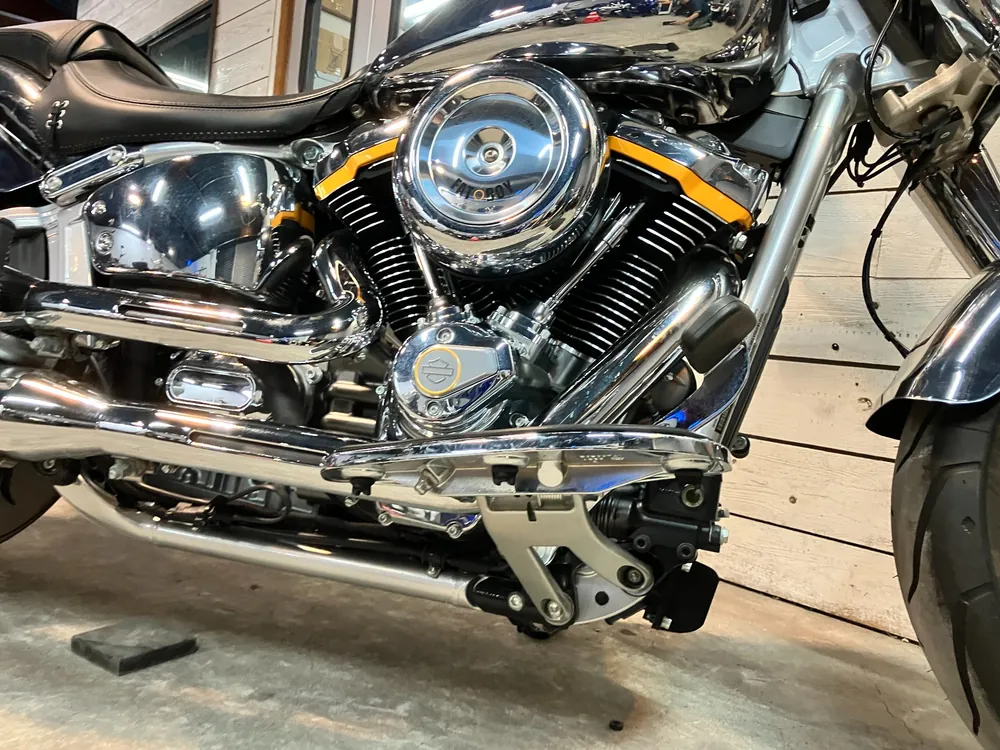 Harley-Davidson FLSTFI 2025, plating, фото 13