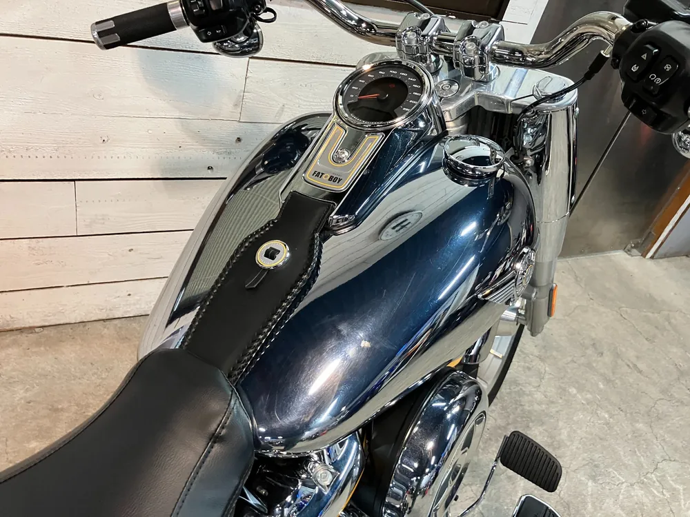 Harley-Davidson FLSTFI 2025, plating, фото 14