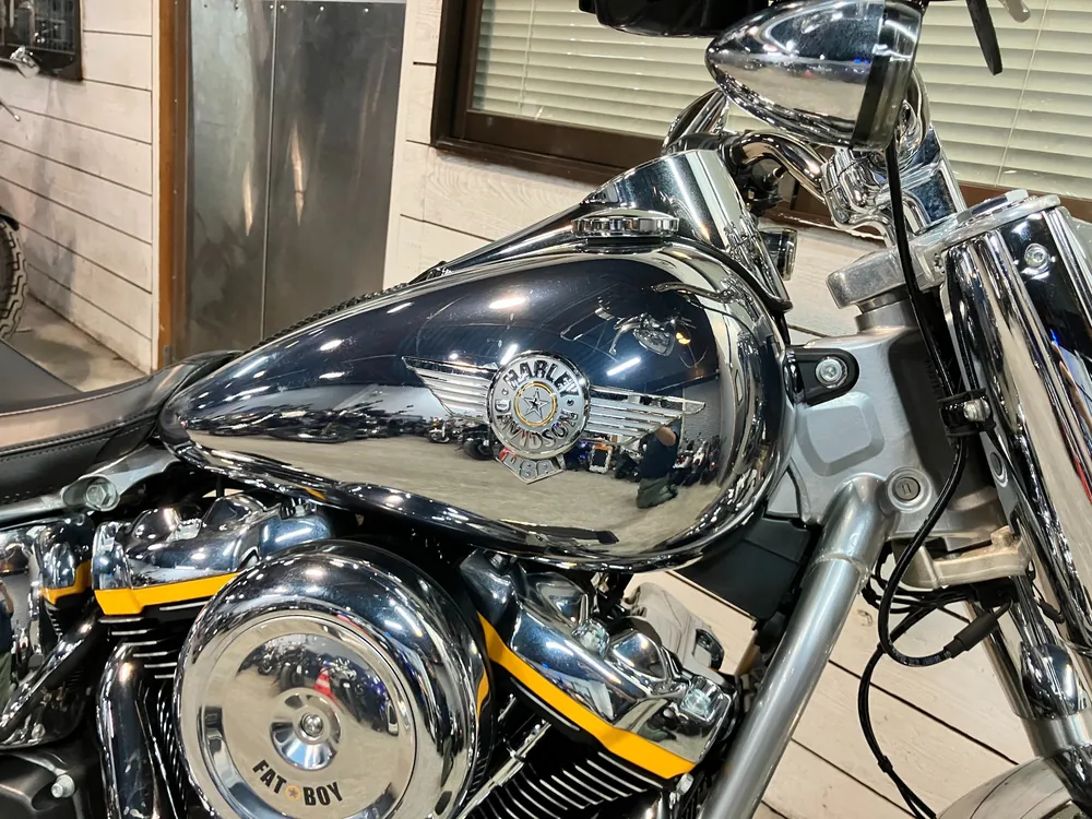 Harley-Davidson FLSTFI 2025, plating, фото 15