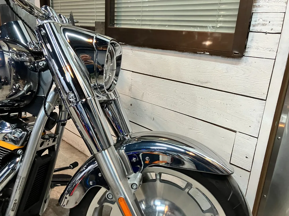 Harley-Davidson FLSTFI 2025, plating, фото 16