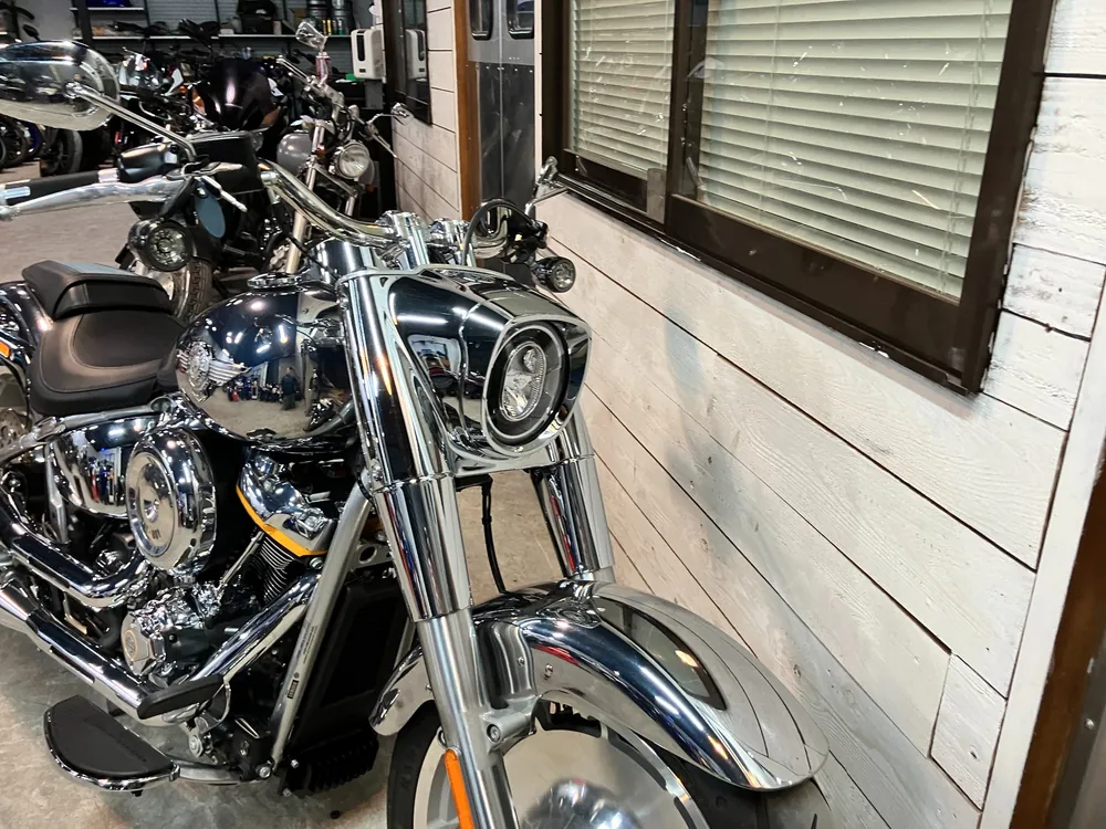 Harley-Davidson FLSTFI 2025, plating, фото 17