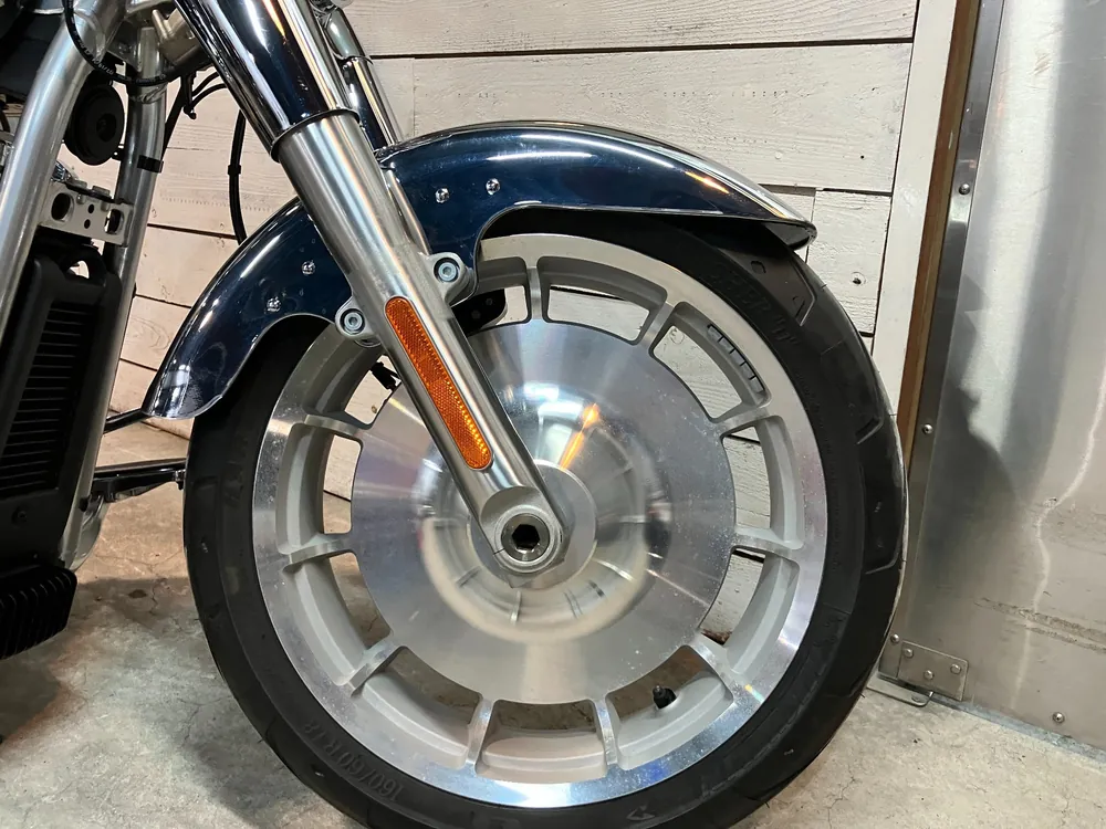 Harley-Davidson FLSTFI 2025, plating, фото 19
