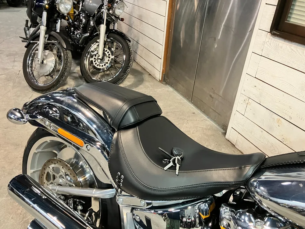 Harley-Davidson FLSTFI 2025, plating, фото 4