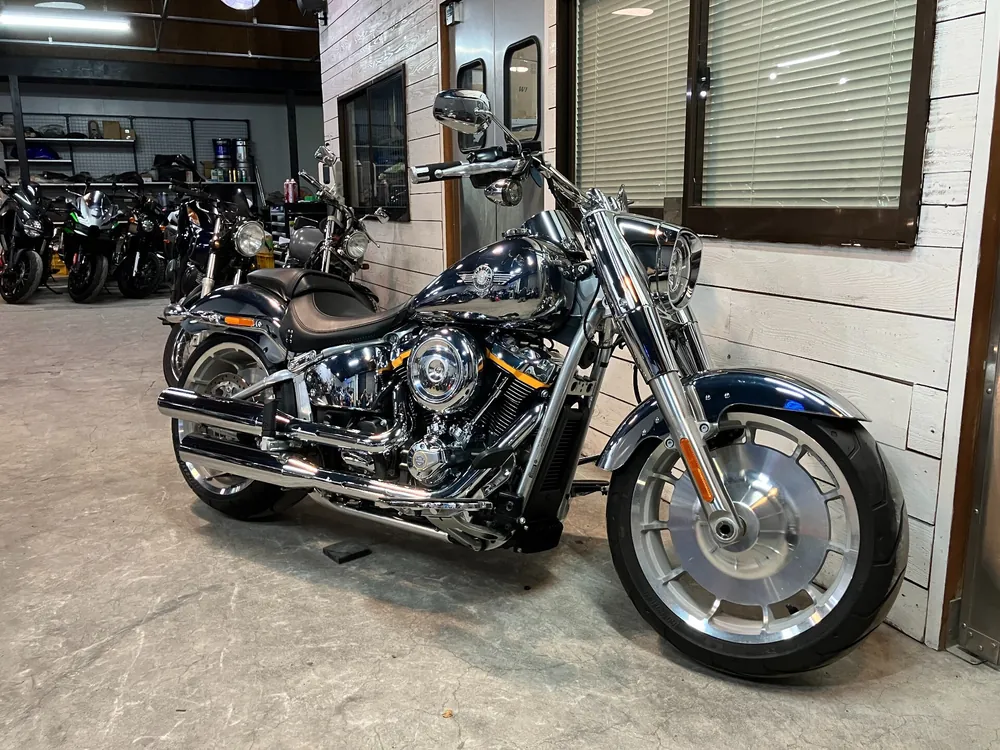 Harley-Davidson FLSTFI 2025, plating, фото 6