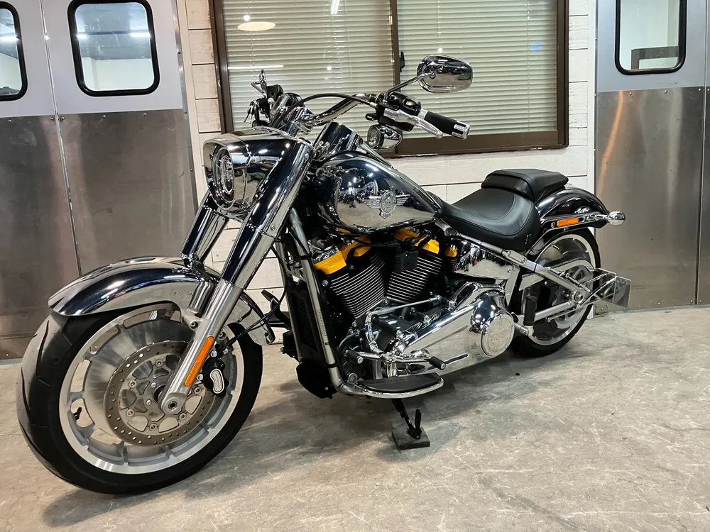 Harley-Davidson FLSTFI 2025, plating, фото 7