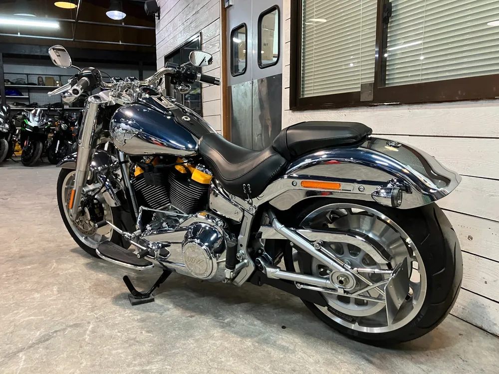 Harley-Davidson FLSTFI 2025, plating, фото 8