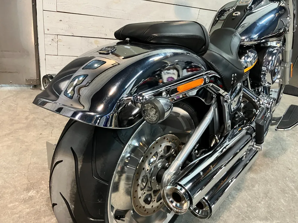 Harley-Davidson FLSTFI 2025, plating, фото 9