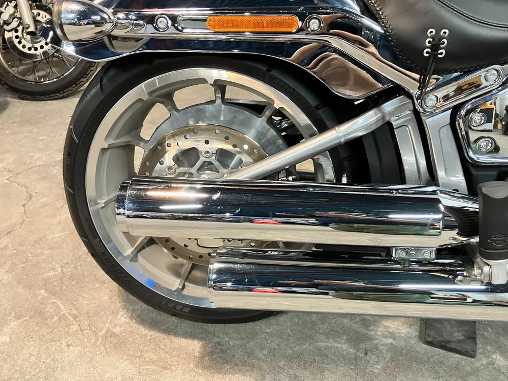 Harley-Davidson FLSTFI 2025, plating, фото 10