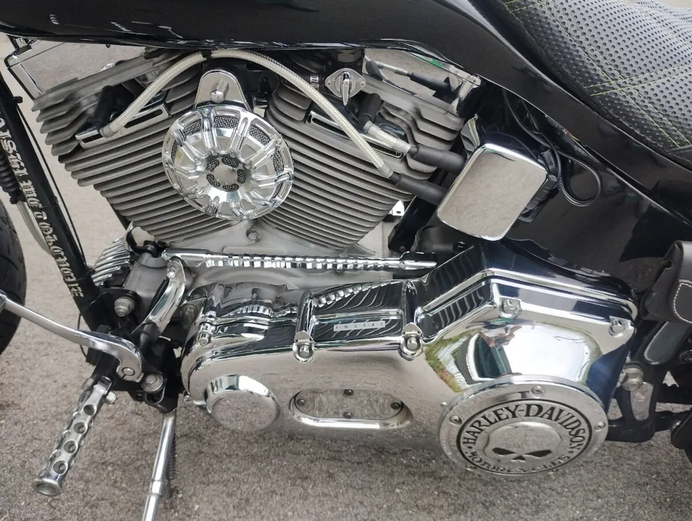Harley-Davidson FXST 2002, фото 8