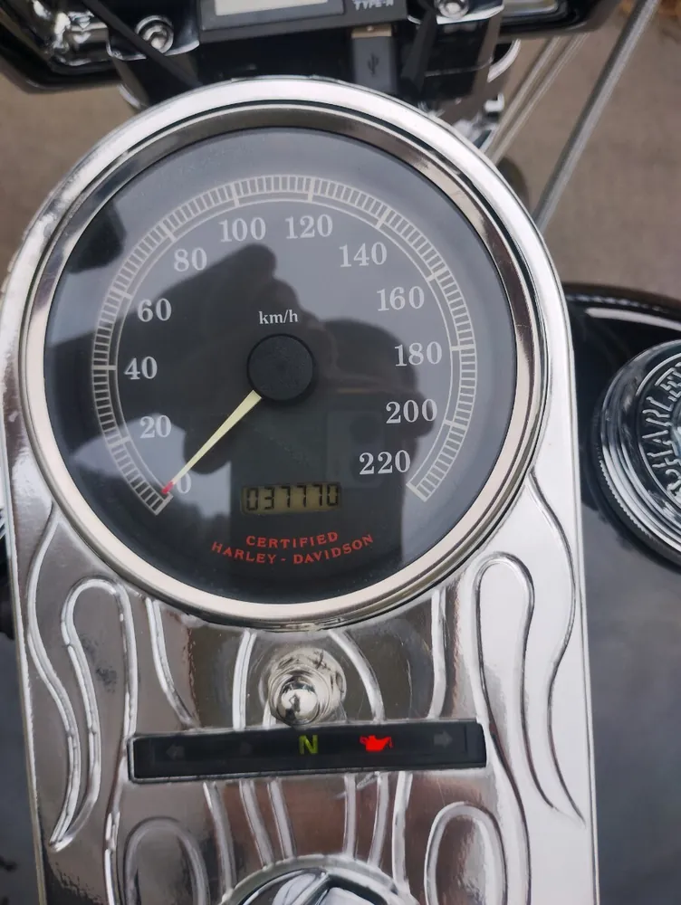 Harley-Davidson FXST 2002, фото 9