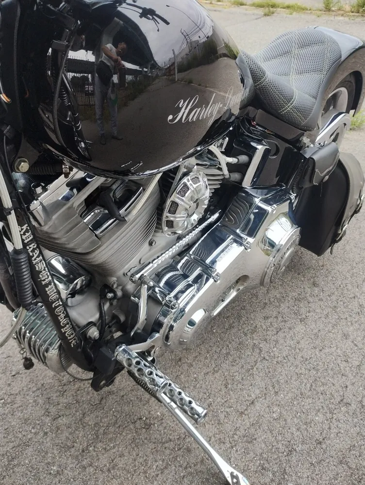 Harley-Davidson FXST 2002, фото 2