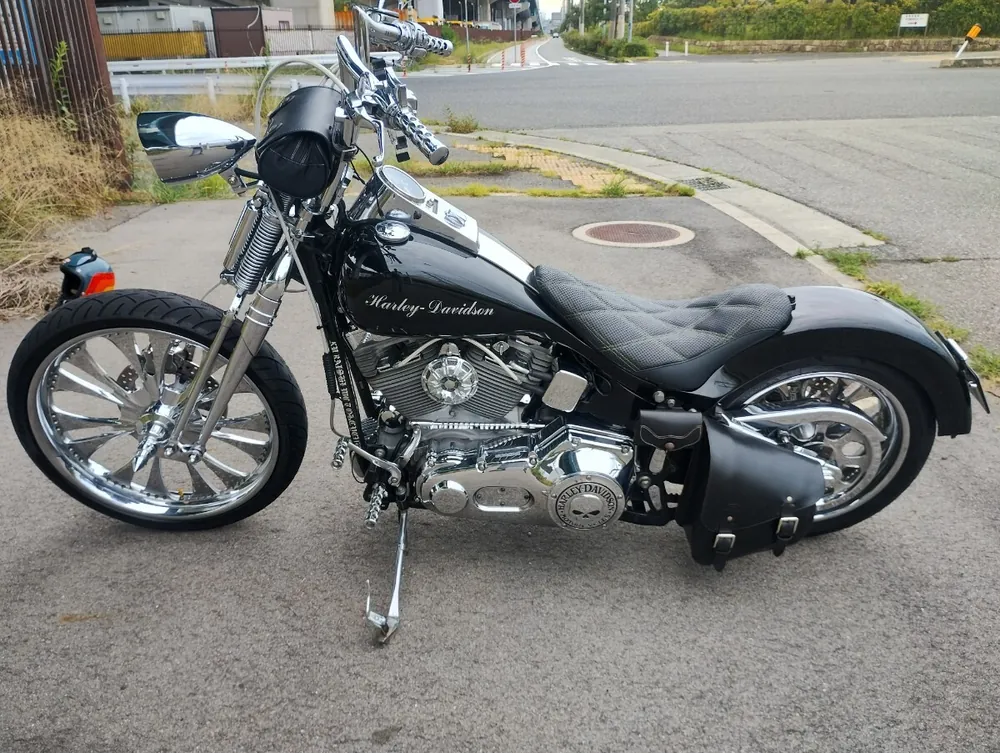 Harley-Davidson FXST 2002, фото 3