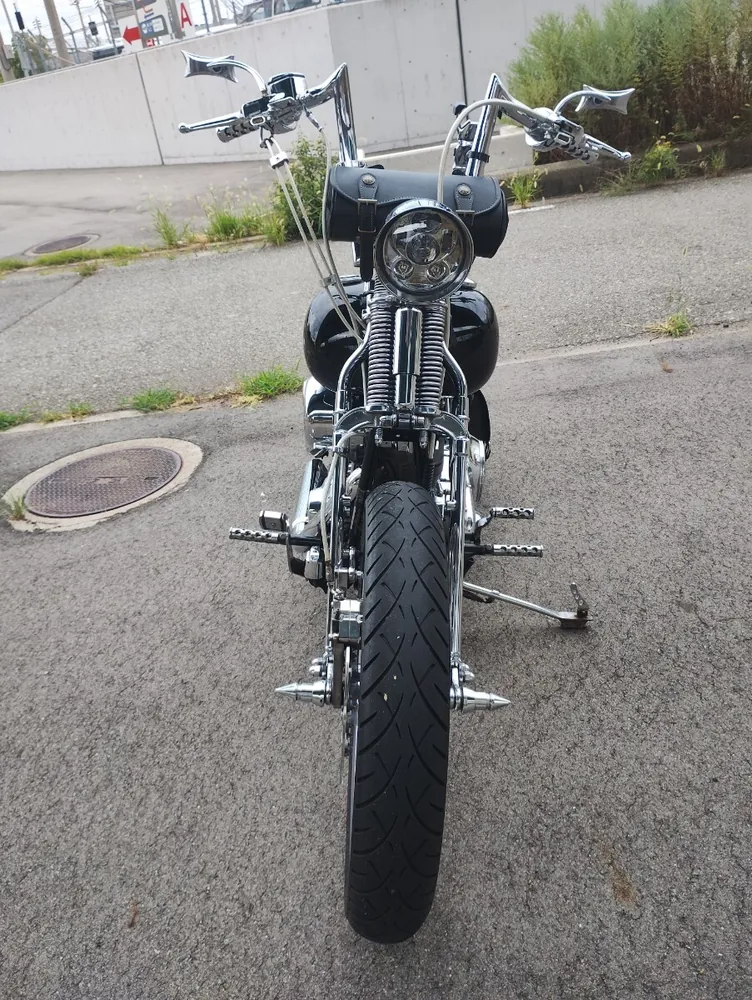 Harley-Davidson FXST 2002, фото 4
