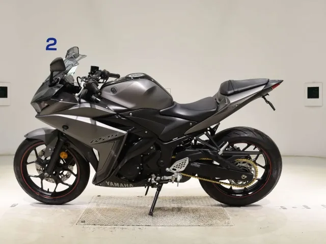 Yamaha YZF-R25, matt gun, фото 2