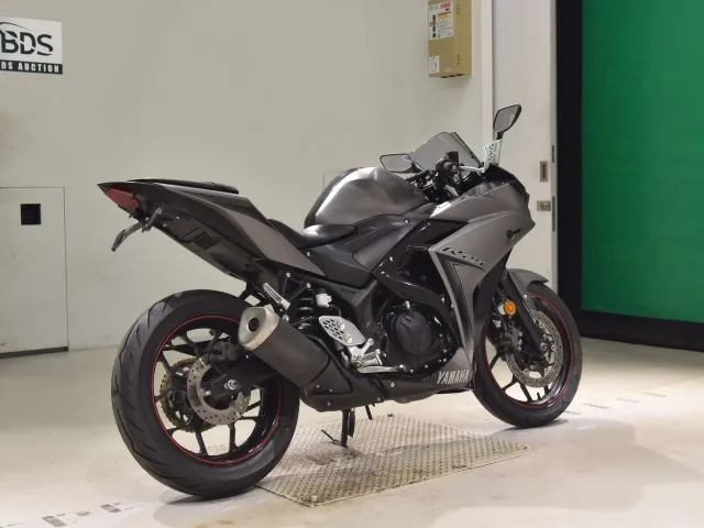 Yamaha YZF-R25, matt gun, фото 5