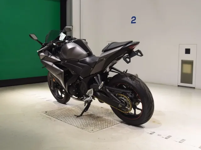 Yamaha YZF-R25, matt gun, фото 6