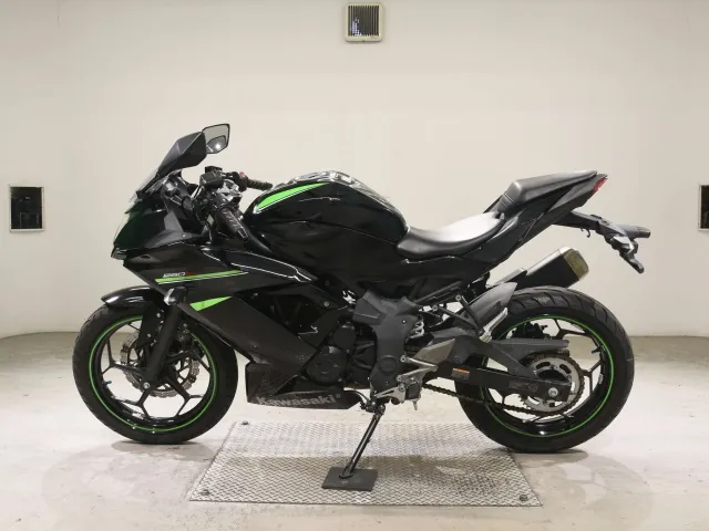 Kawasaki Ninja 250SL, чёрный, фото 2
