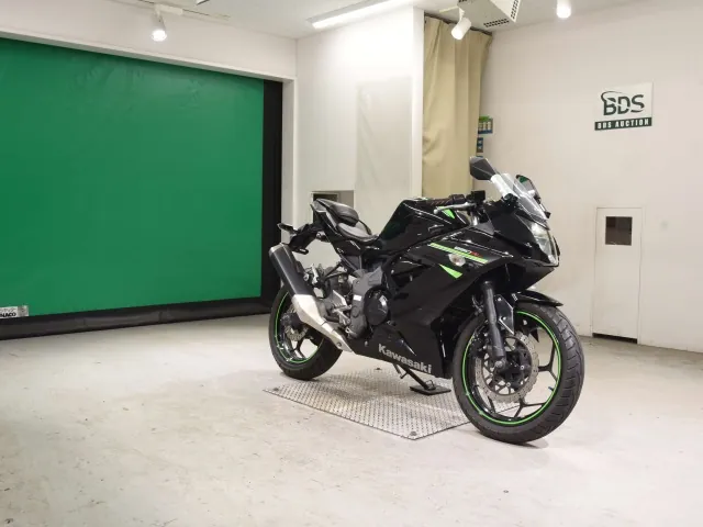 Kawasaki Ninja 250SL, чёрный, фото 3